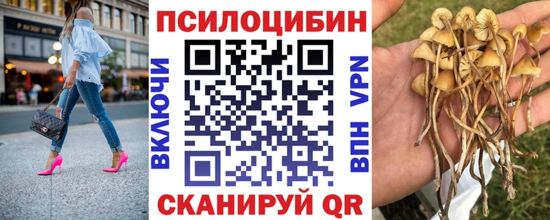 Псилоцибиновые грибы Psilocybine cubensis  Гулькевичи 